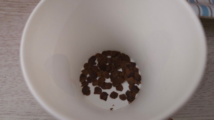 Dioscorea mexicana 구갑룡 씨앗 파종 : 네이버 블로그