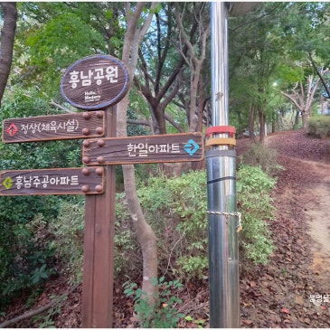 아침 산책