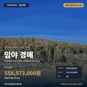 경북 포항시 북구 흥해읍 초곡리 임야 경매 산 2025타경4266 썸네일