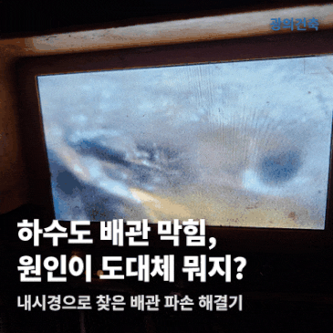 일산 탄현6단지 하수도 배관 공사, 내시경 활용 후기 시공 사례