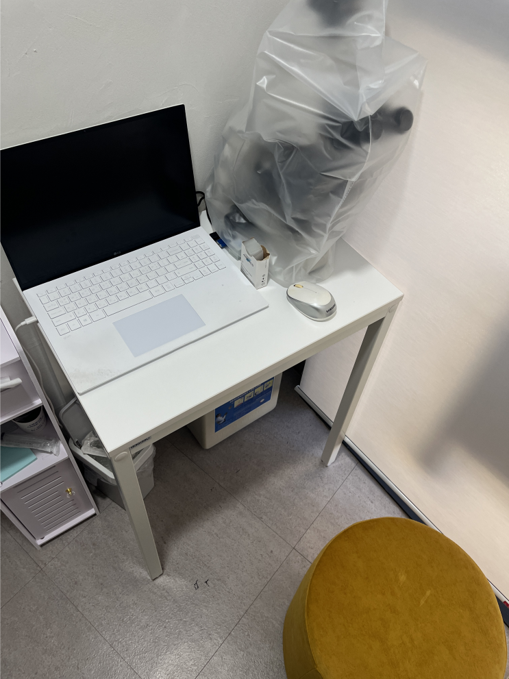 [임신 사전건강관리] 여성·남성 임신전 검사 후기, 풍진항체검사도 추가했어요 : 네이버 블로그