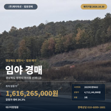 경북 영천시 야사동 임야 경매, 영천 야사지구 토지구획정리사업지구 1만3천여제곱미터 산지 2025타경9662 썸네일