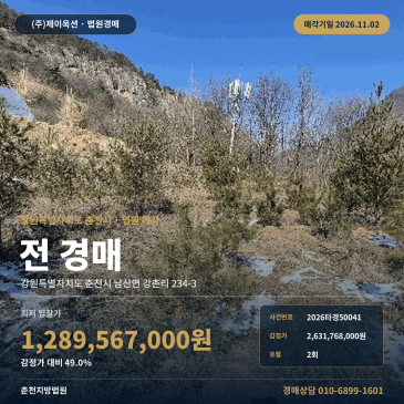 강원 춘천시 남산면 강촌리 농사땅경매 토지 면적 분석 2026타경50041 썸네일
