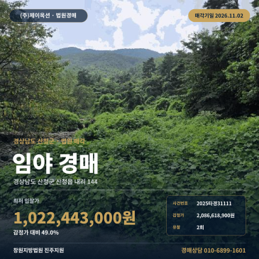 경남 산청군 성심원 인근 대규모 산지 경매 물건 분석ㅣ산지경매 2025타경31111 썸네일