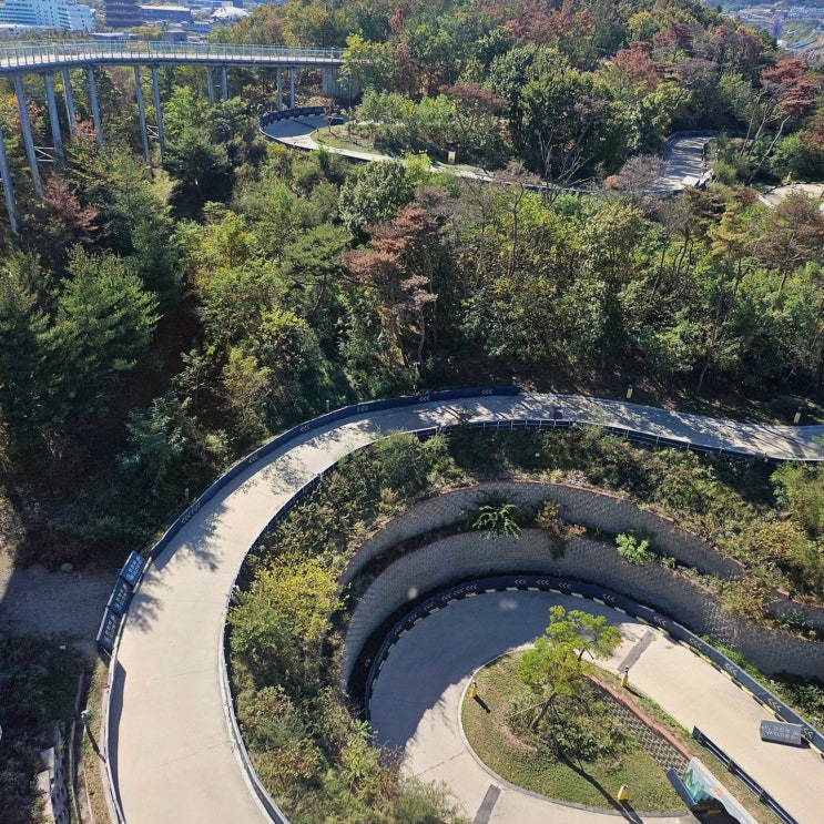 경주 가족 여행 코스 찾는다면 아이도 어른도 신난 루지 체험 경주루지월드
