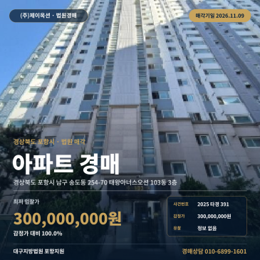 경북 포항시 남구 송도동 254-70 태왕아너스오션 103동 3층 아파트 경매 2025타경391 썸네일