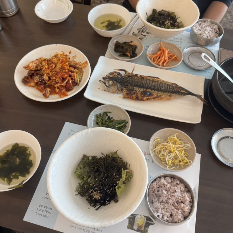 야탑역 맛집 해올 구성 좋은 쭈꾸미볶음 해초비빔밥 점심특선 : 네이버 블로그