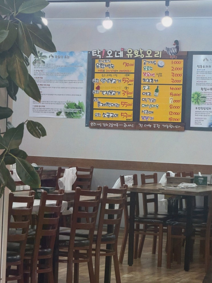 거제회식장소, 탁오네에서 사장님이 직접 구워주는 생오리불고기