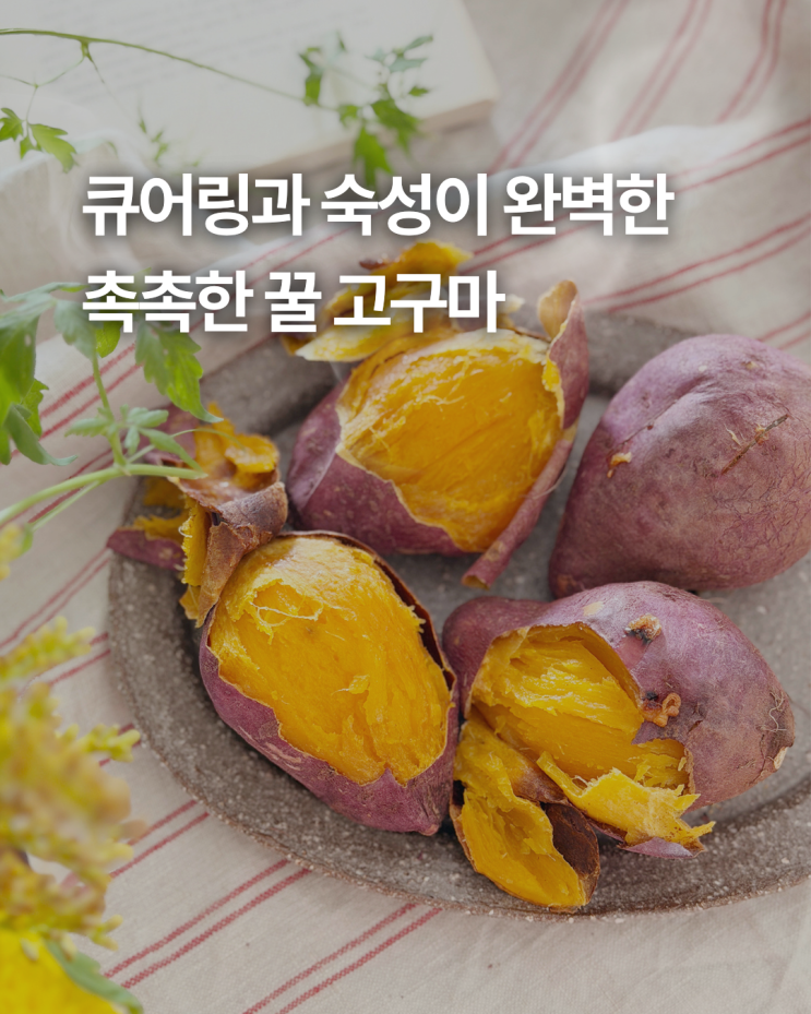 [ 핑크파르페 앵콜핫딜 ] 🍠고구마계의 에르메스! 지금 시기에 유일한 최고 당도!! 지금 제일 맛있는 촉촉한 꿀 고구마 ...
