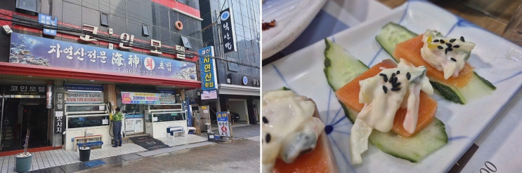 해신자연산횟집 부산역물회, 새벽 공수 자연산 활어회 먹고 온 출장 후기