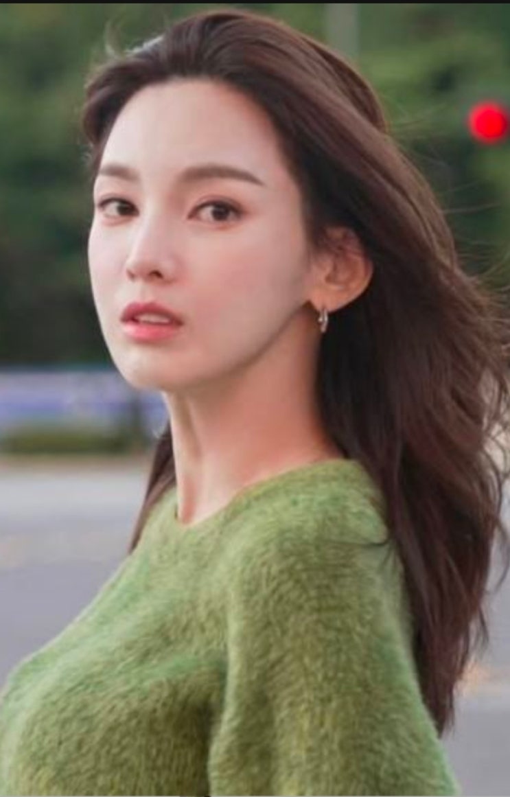 “내 명의로 132억 원?” 정가은, 전 남편 사기 고소에 드러난 충격적 의혹 : 네이버 블로그