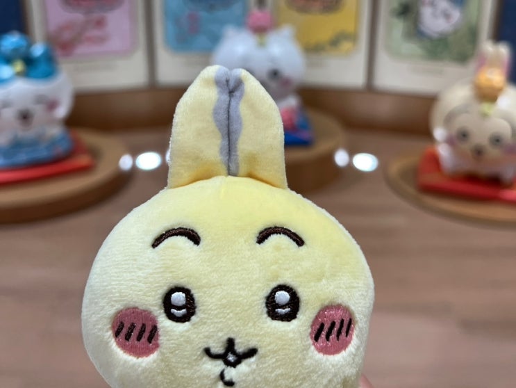 용산 치이카와 마켓 웨이팅 기록 : 네이버 블로그