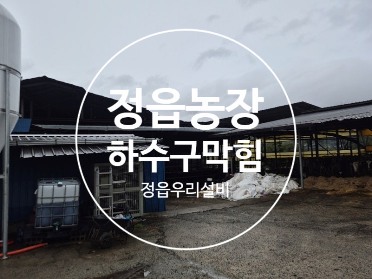 정읍 가축변으로 하수구막힘 농장 고압세척으로 뚫었습니다 : 네이버 블로그