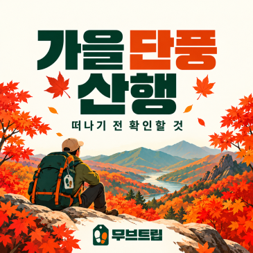 지금 가야 할 가을 단풍 등산 코스 - 내장산부터 설악산까지
