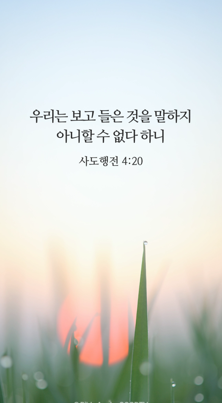 우리는 보고 들은 것을 : 네이버 블로그