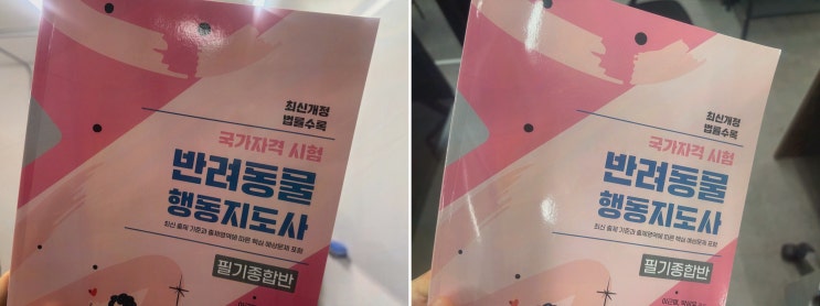 엘로드에듀 반려동물행동지도사2급 인강, 야근 잦은 직장인이 이어가는 법