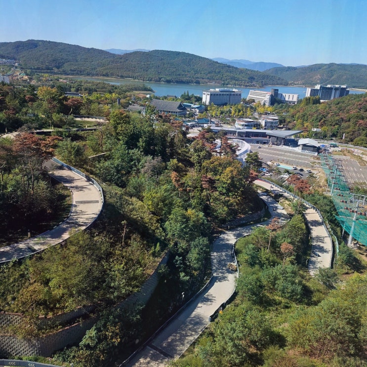 [레저리뷰] 경주 루지월드 코스 추천, 초보도 가족도 만족한 화랑코스