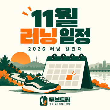 2026년 11월 전국 러닝대회 캘린더 - 놓치면 아까운 가을 마라톤 일정