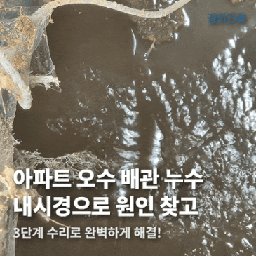 일산 오수 배관 수리, 탄현 아파트 누수 해결 3단계 시공 사례