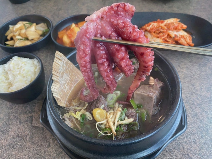 [미사맛집추천] 솔직후기! 백흑담, 수비드 닭고기와 정원뷰