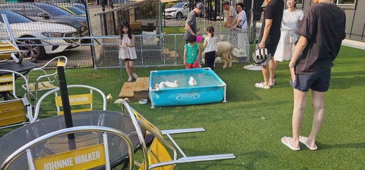 귀여운 동물에 지친 일상 힐링, 햄스터 만나러 햄찌랑토찌랑 동물체험카페