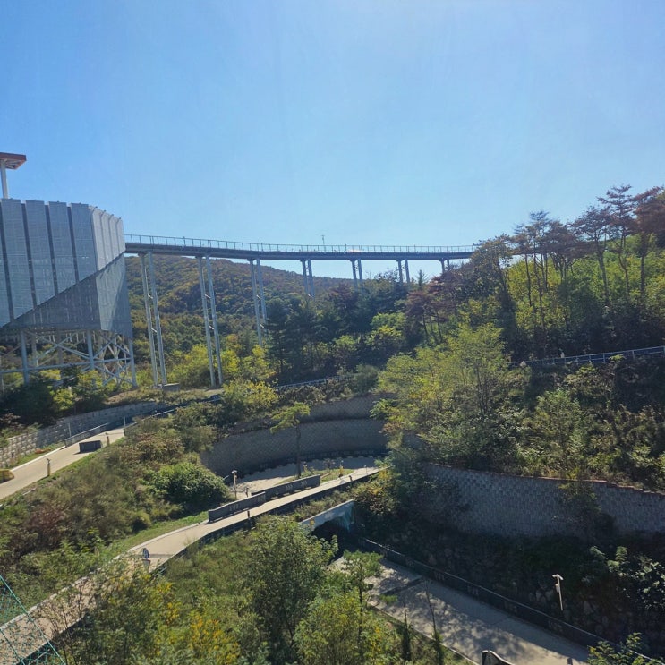 경주 불국사 여행 코스 경주루지월드, 초보도 즐기는 1.6km 화랑코스
