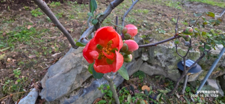 링크 미리보기