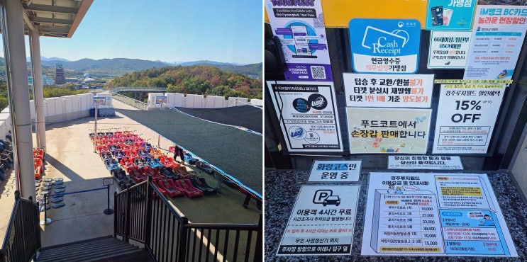 경주 루지월드 여행 동선, 보문호수 내려다보며 달리는 짜릿한 하루