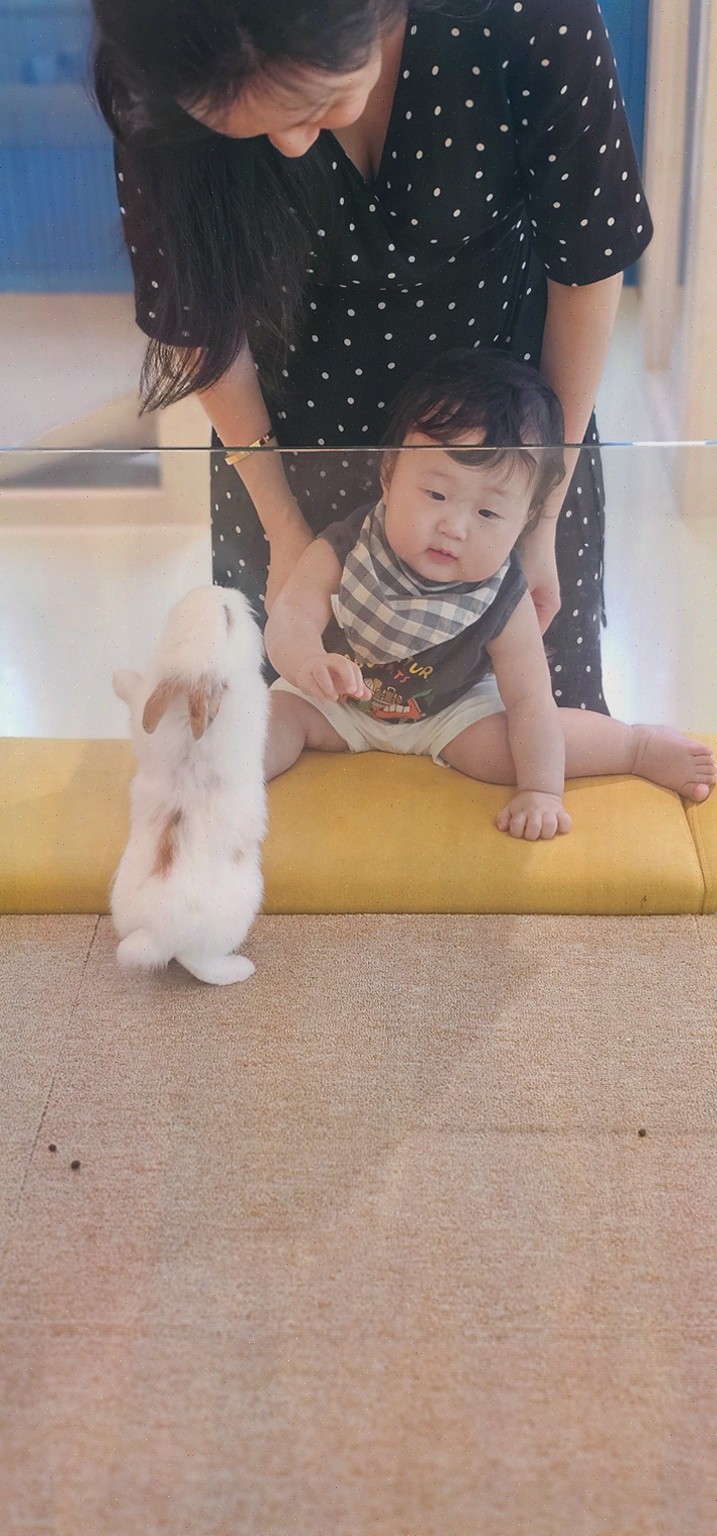햄스터 만나러 갈까요? 호수뷰 힐링까지, 햄찌랑토찌랑 동물체험카페
