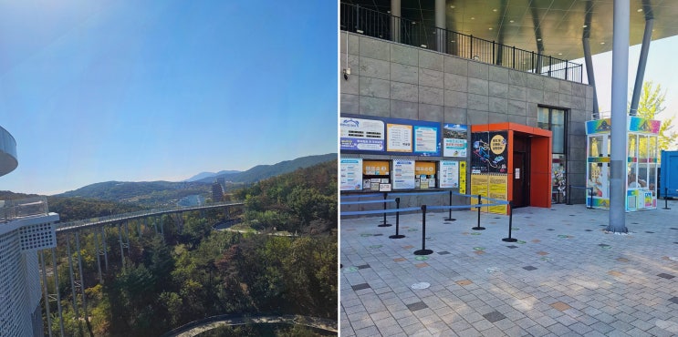경주 첨성대 아이와 경주루지월드, 초보도 안전하게 즐기는 액티비티