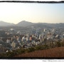 서울을 걸었어