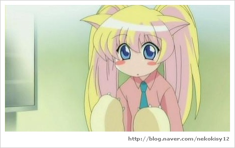 파니포니 대시 靑春d A Y 청춘 D A Y 네이버 블로그