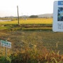 친환경 농법으로 쌀 생산