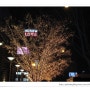 드디어 서울시내 나무에 점등 - 강남 교보타워 앞