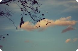 スキマスイッチ ズラチナルーカ 즈라치나루카 네이버 블로그