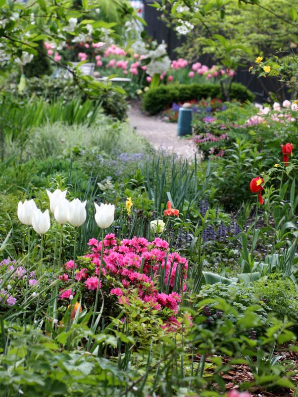 pbase : 네이버 블로그