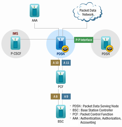 PDSN 개념잡기 : 네이버 블로그