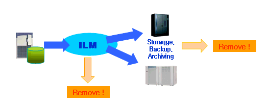 ILM (정보생명주기관리:Information Life cycle Management ) 이란? : 네이버 블로그