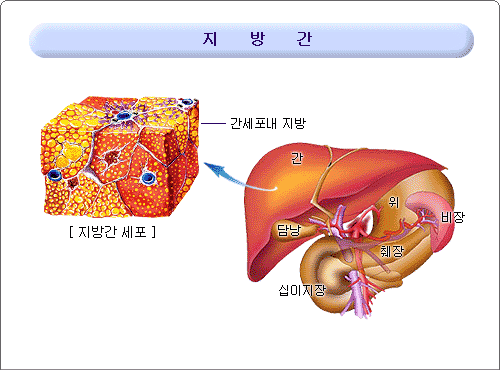 간 조절 기능과 그 위해 요인 : 네이버 블로그