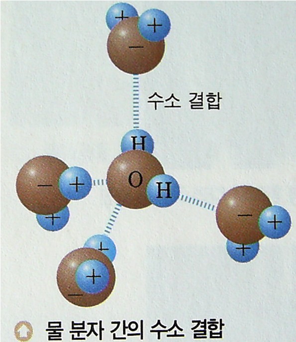 물 분자의 구조 : 네이버 블로그
