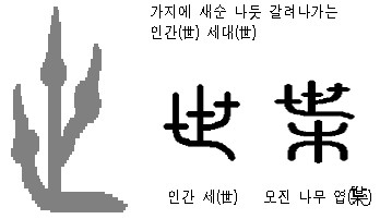 풀( )이 모진 나무( ) 부위에서 돋아나는 '잎 엽葉)' : 네이버 블로그