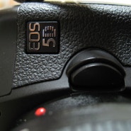 5D