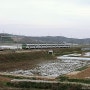 Railroad - Line Gyeongui. Paju - Munsan [2008.05.04]