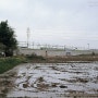 Railroad - Line Gyeongui. Wallong Station [2008.05.04]