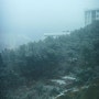 2008-01-29 눈이 왔던 부산...