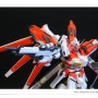 [레진] 1/100 RX-93-v2 Hi-Nu Gundam Ver. Red (하이뉴 건담) (Vicious Project)