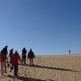 이집트 여행 5 (바하리야 사막)