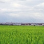 Railroad - Line Gyeonbu Express. Cheonanasan-Daejeon [2008.08.03]