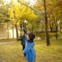 낙엽놀이와 활동