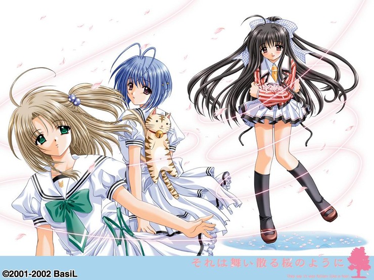 それは舞い散る桜のように 그것은 흩날리는 벚꽃처럼 소레치루 Op Days 네이버 블로그 それは舞い散る桜のように 그것은 흩날리는 벚꽃처럼 소레치루 Op Days 네이버 블로그
